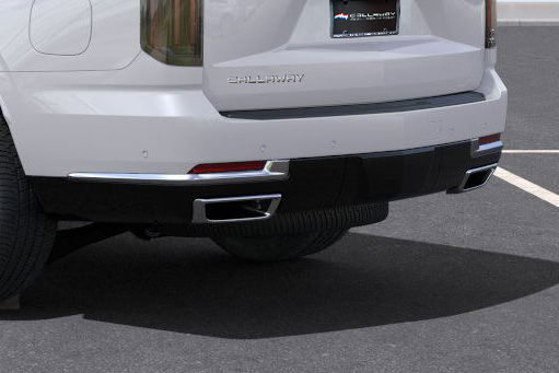 Dual-Outlet Exhaust System