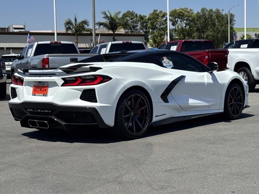 Selman Corvette 13